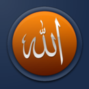 cep ilmihali APK