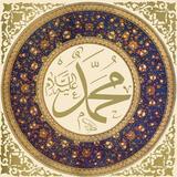 HadisDemeti ไอคอน