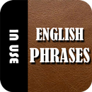 English Phrases In Use - Dark mode APK