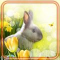 Easter Great Day