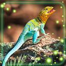 Lizards Cool Live Wallpaper APK