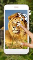 Lion King Jungle Affiche