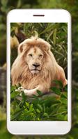 Lion King Jungle capture d'écran 2