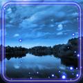 ”Night Landscapes