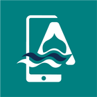 Ansar Digital Financing アイコン