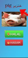 Halal or Haram? اسکرین شاٹ 1