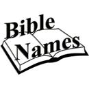 Bible Names APK