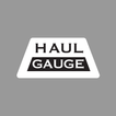 Haul Gauge أيقونة