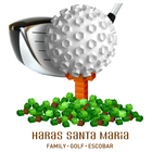 HSM Golf icon
