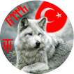 Ülkücü Zil Sesleri+ icon