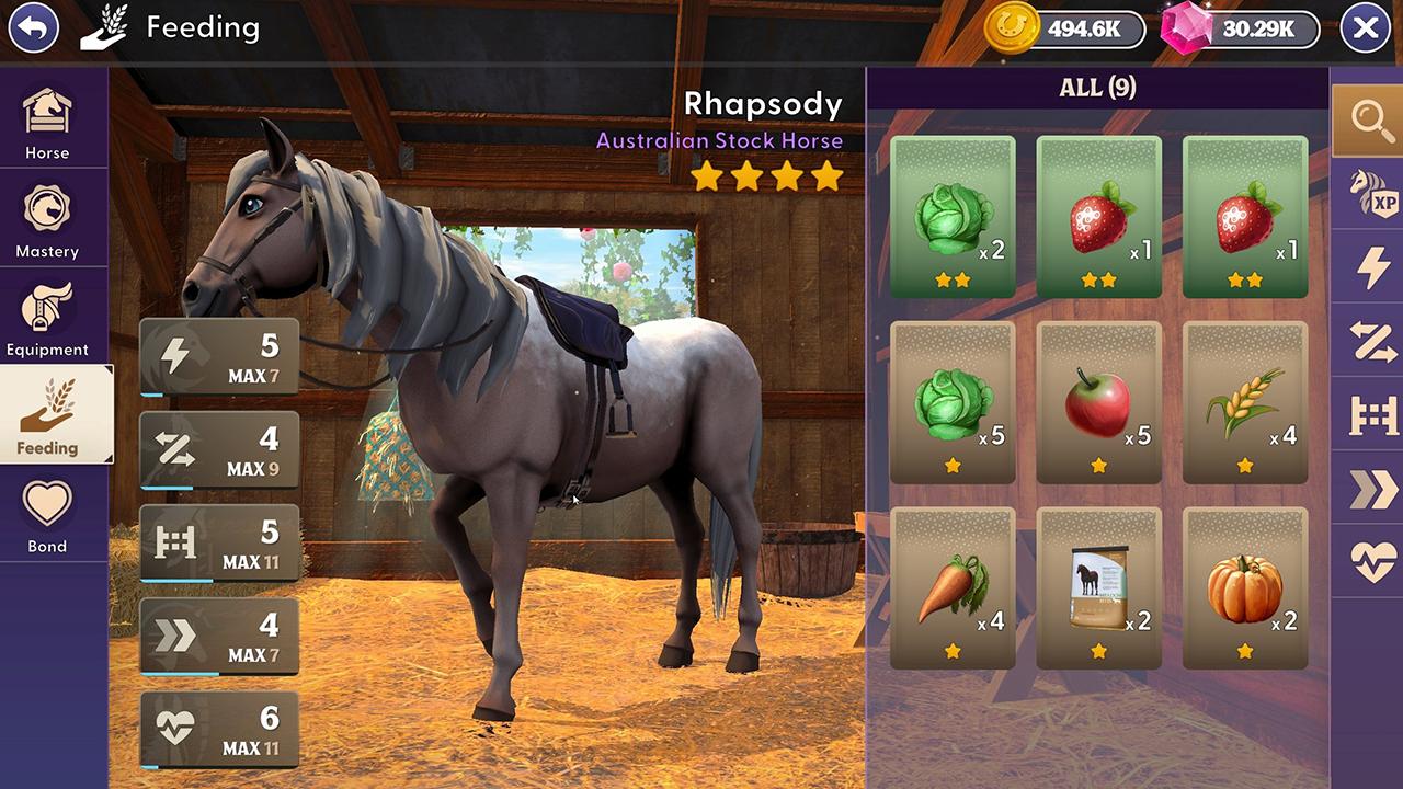 Race MX Riders Grau APK برای دانلود اندروید