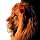 Icona Animals Sound Effects