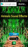 Animals Sound Effects Affiche