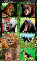 1 Schermata Animals Sound Effects