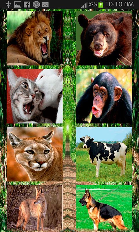 Animals Sound Effects APK for Android Download Animals Sound Effects APK for Android Download