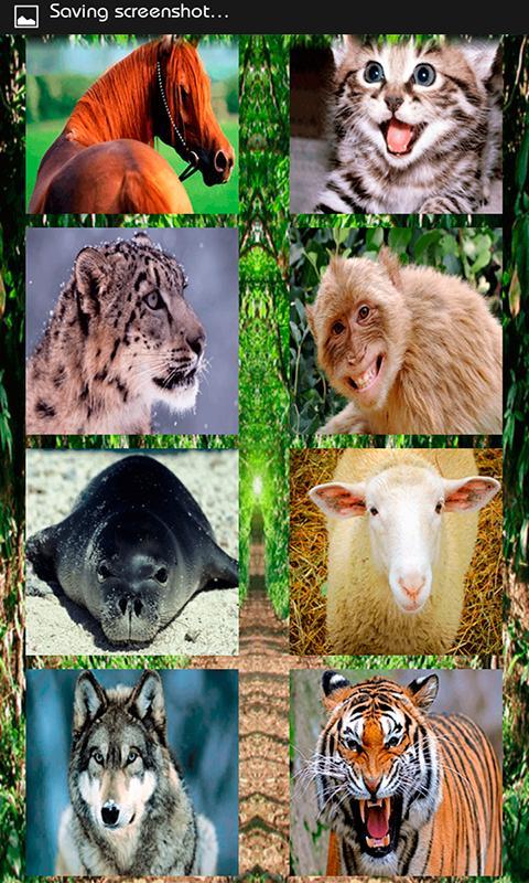 Animals Sound Effects APK for Android Download Animals Sound Effects APK for Android Download
