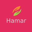 Hamar data icon