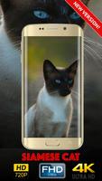 Siamese Cat Wallpaper HD capture d'écran 3