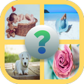4 Pics 1 Word : Puzzle & Brain Games