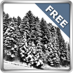 Nevicata 360° Free