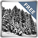 Snowfall 360° Free APK