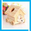 Cute Hamster Cage Design Ideas aplikacja