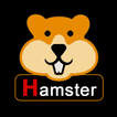 XHamster: Live Streams App