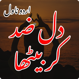 Dil Zid Kar Betha Urdu Novel icône