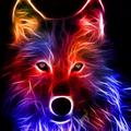 Wolf wallpaper HD