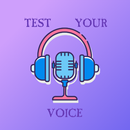 APK Voice Recorder