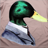 شات فرخ البش