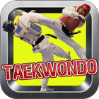 Taekwondo Kick Training simgesi
