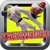 Taekwondo Kick Training icône