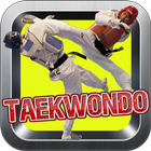 Taekwondo Kick Training icône