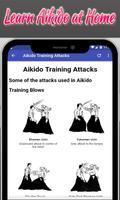 Aikido Training Plakat