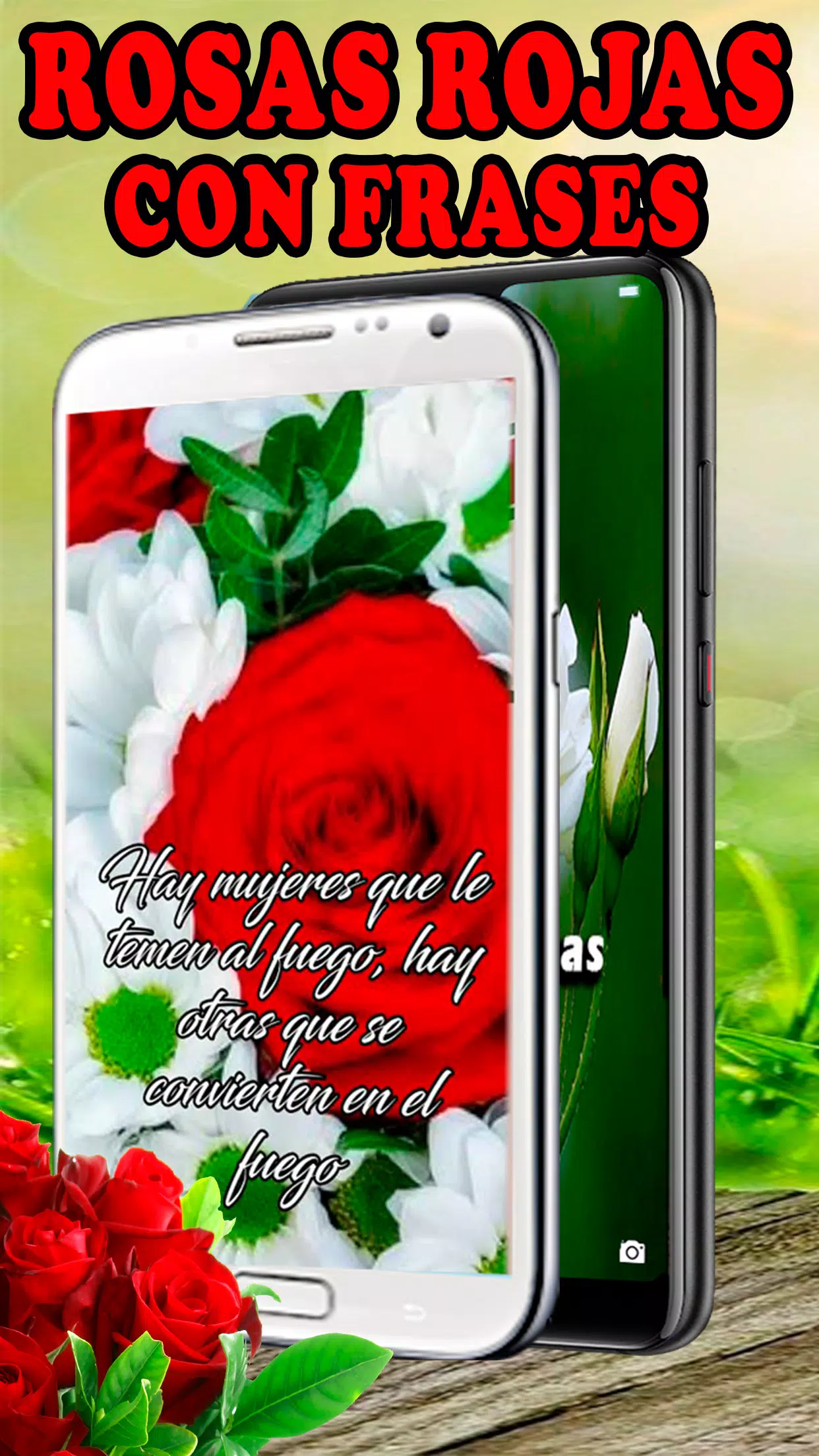 Download do APK de Rosas Rojas Hermosas Flores para Android