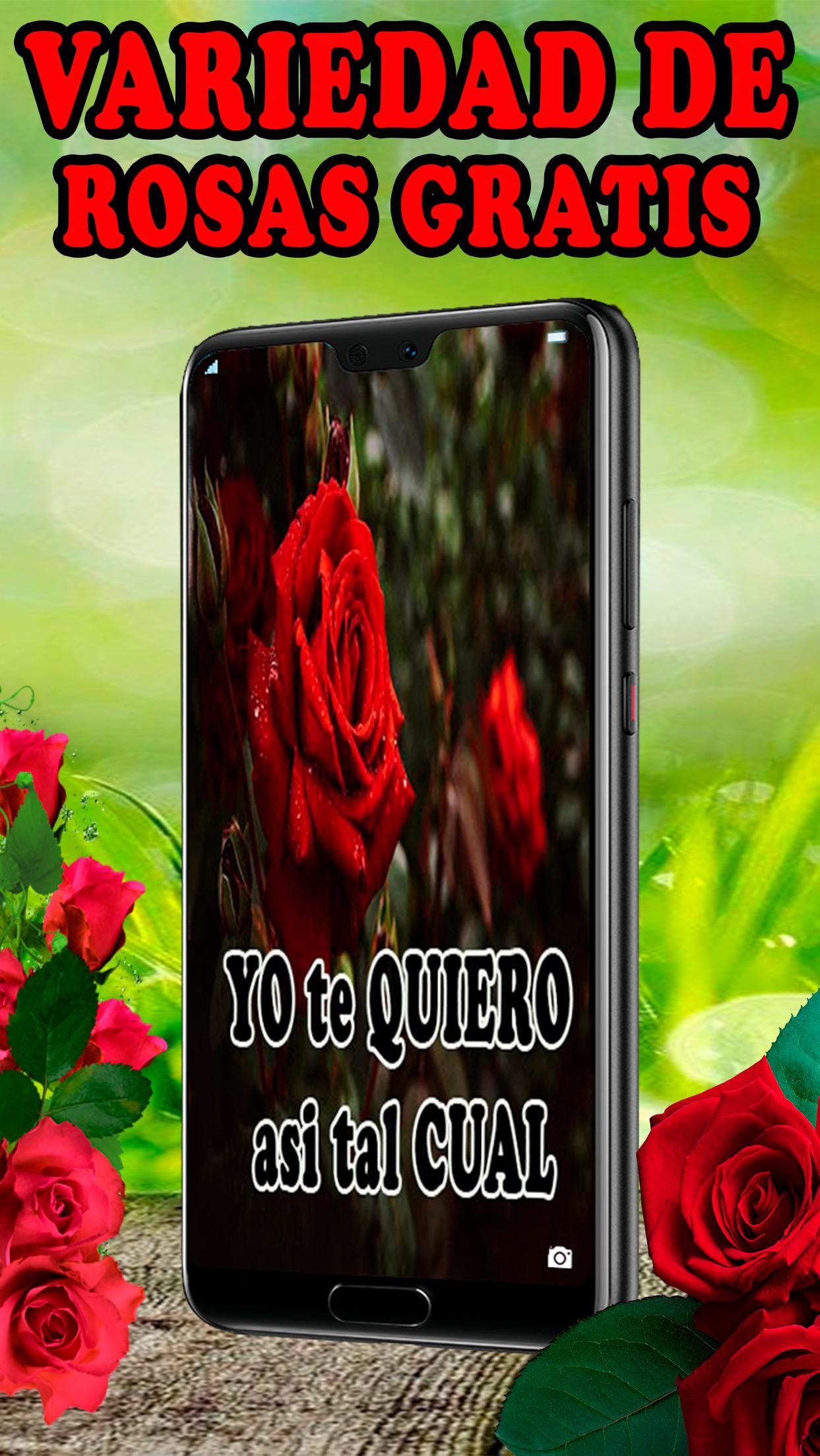 Rosas Rojas Hermosas Flores APK for Android Download