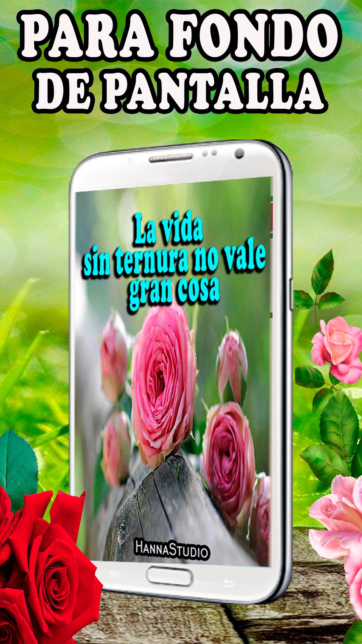 Rosas Rojas Hermosas Flores APK for Android Download Rosas Rojas Hermosas Flores APK for Android Download