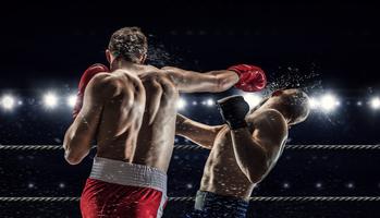 تعلم الملاكمة الملصق