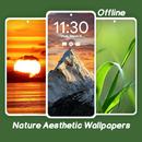 Nature Aesthetic Wallpaper APK