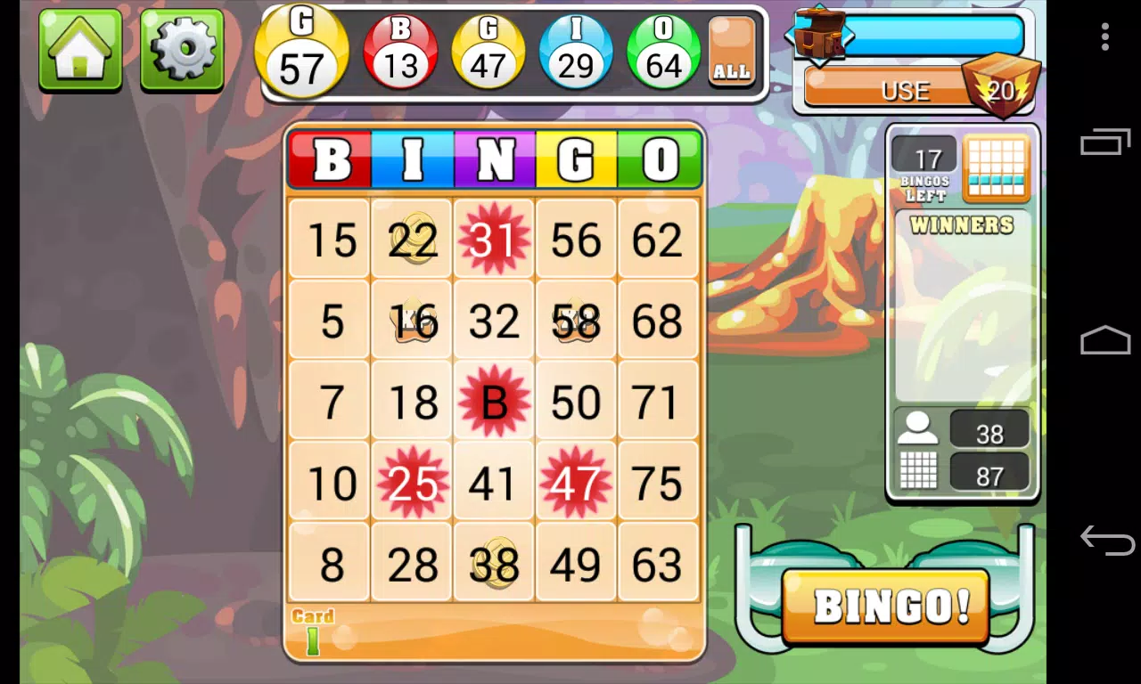 Bingo Rider - Casino Game APK 6.0.3 for Android – Download Bingo