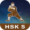 Chinese Character Hero - HSK 5