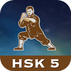 Chinese Character Hero - HSK 5 icône