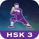 Chinese Character Hero - HSK 3-APK