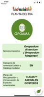 OpoAma 스크린샷 2
