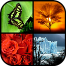 Photo Wall FX Live Wallpaper APK