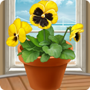 My Little Terrace APK