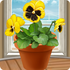 我的小小陽台 - 培養花盆、種植植物、治癒遊戲 圖標