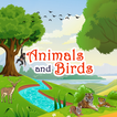 Animals, Birds and Insects Sou