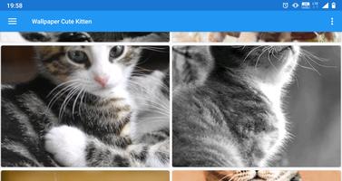 Cute Kitten Wallpaper स्क्रीनशॉट 3